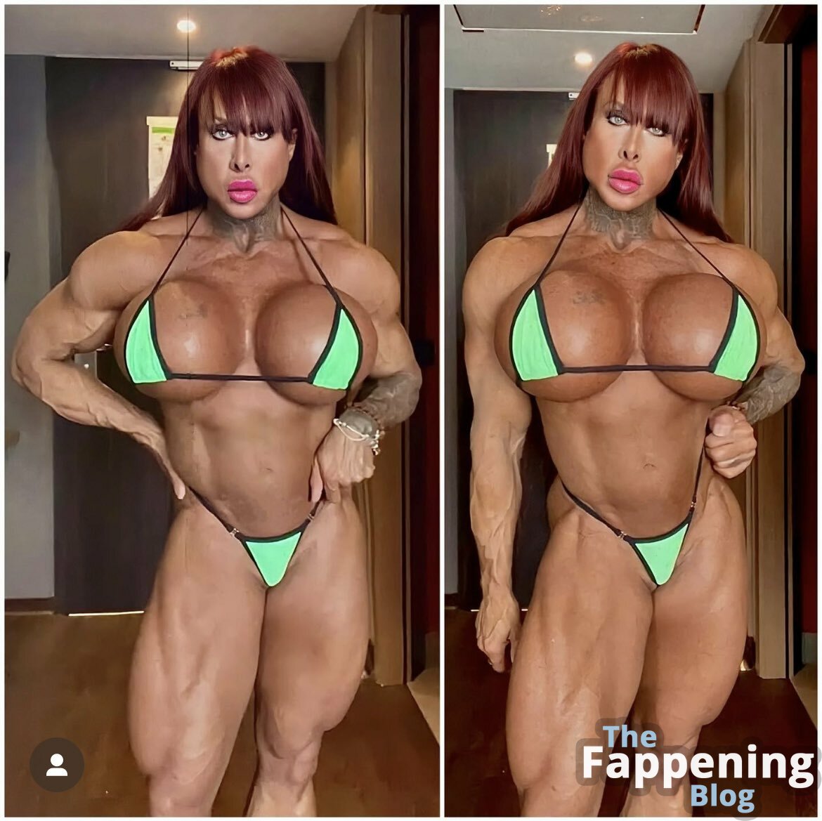 Barbara Carità barbara carita ifbbpro barbaracarita Nude Leaks