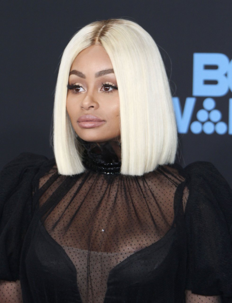 Blac Chyna Sexy 22 Photos Thefappening