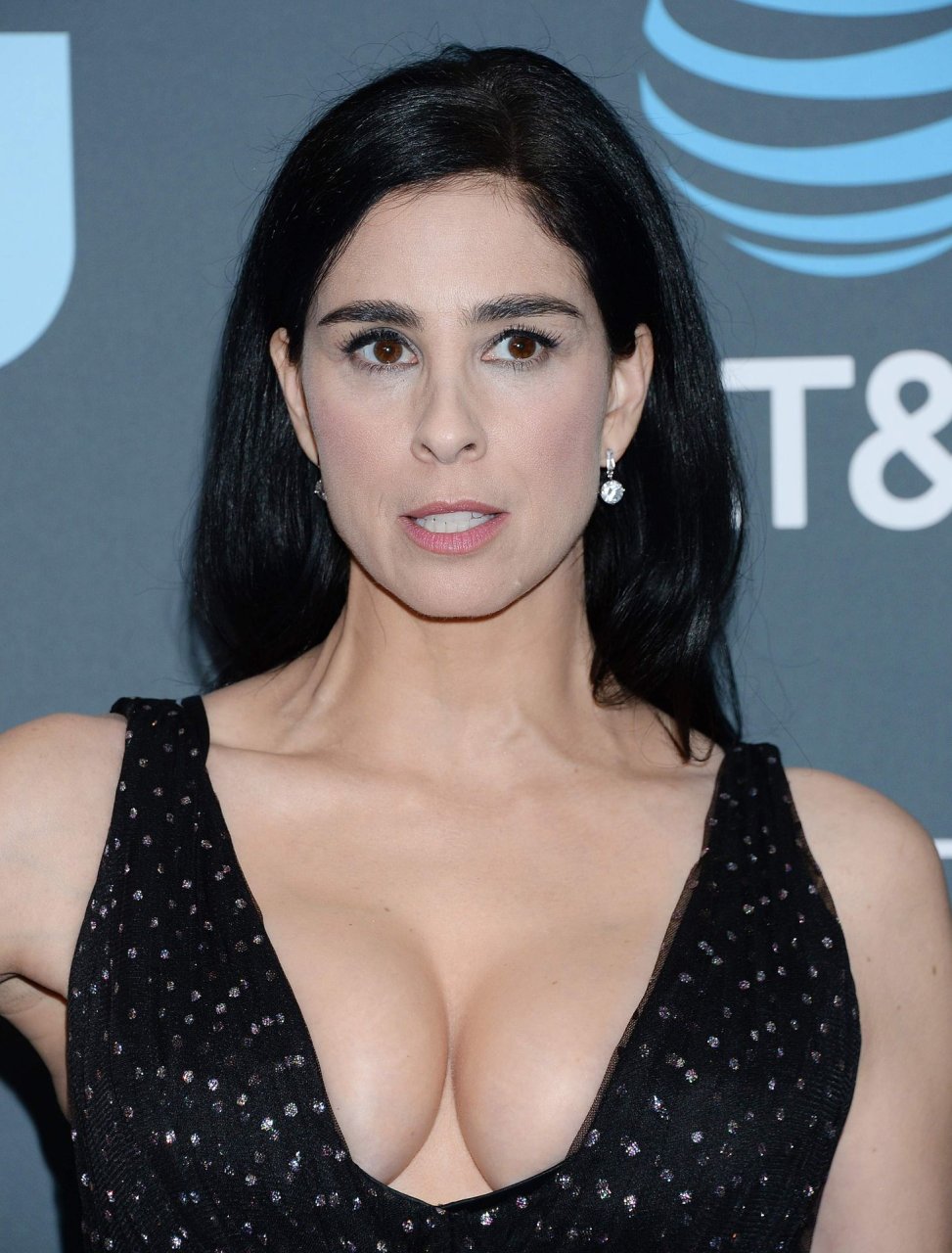 Sarah Silverman Nude Photos And Videos Thefappening