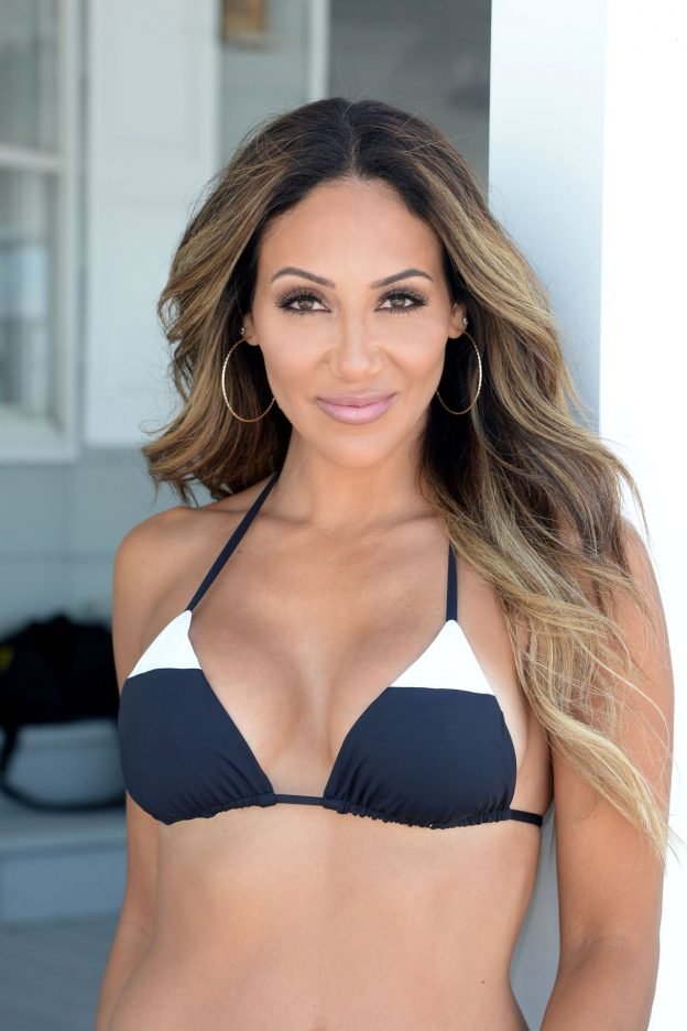 Melissa Gorga Sexy Photos Thefappening