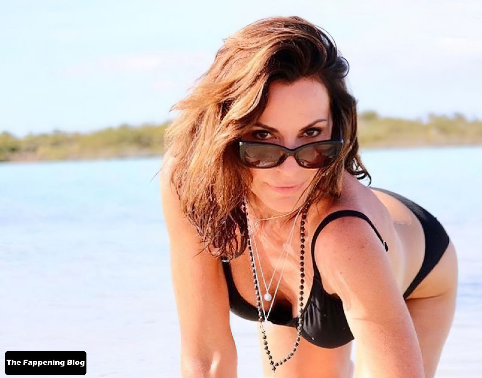 Luann De Lesseps Topless Sexy Collection Photos Thefappening