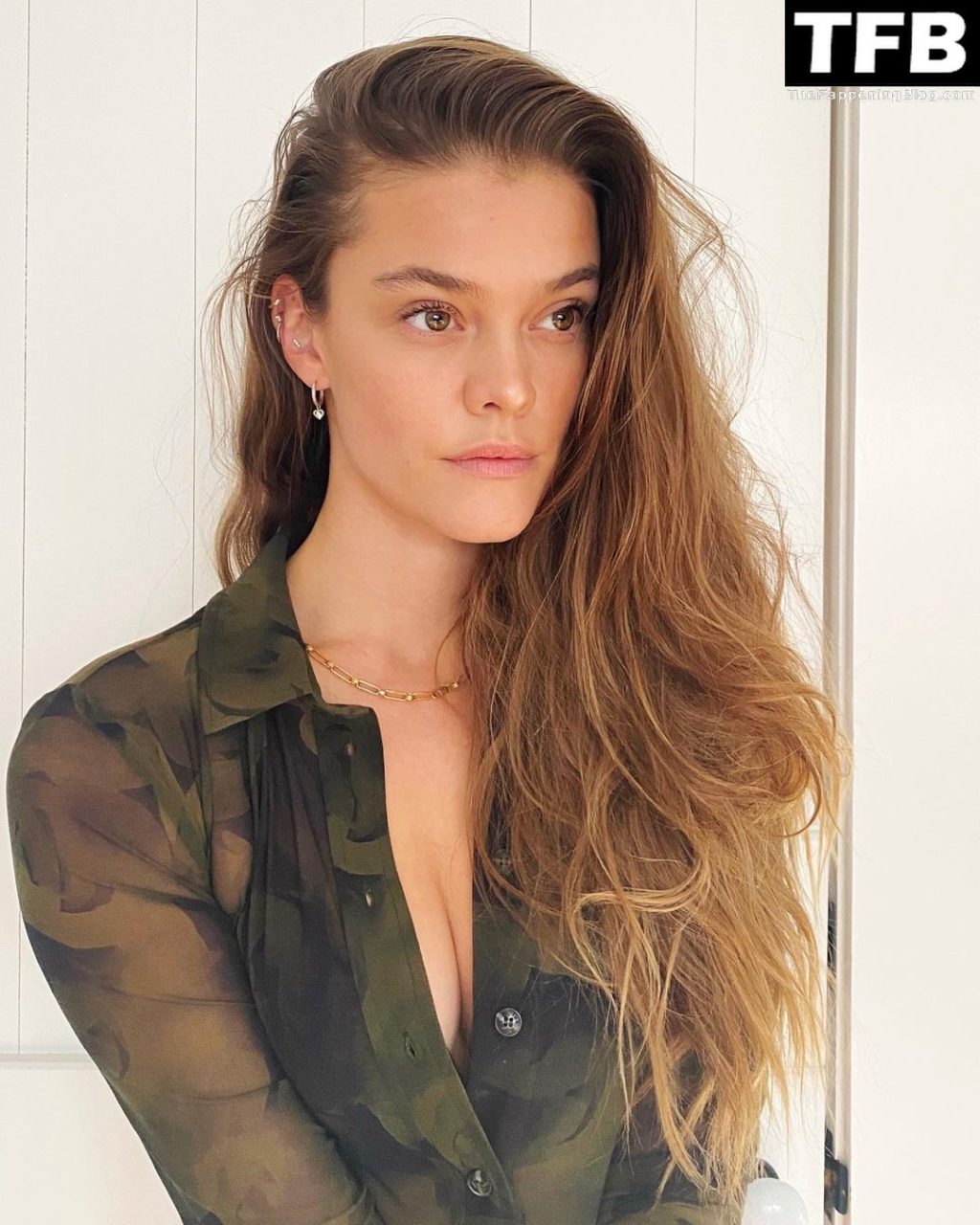 Nina Agdal Nude Sexy Mix Photos Thefappening