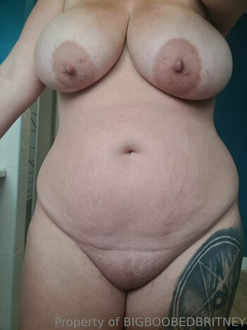 bigboobedbritneyfree Nude Leaks Photo 10