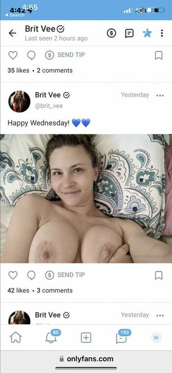 Brit_vee / britvee Nude Leaks OnlyFans Photo 2