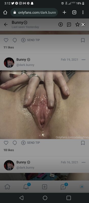 Dark.Bunny / Ashbey Daleighney / officialdarkbunny Nude Leaks OnlyFans Photo 11