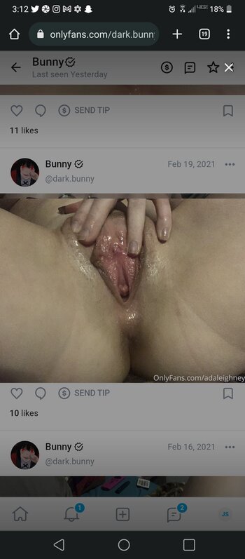 Dark.Bunny / Ashbey Daleighney / officialdarkbunny Nude Leaks OnlyFans Photo 14