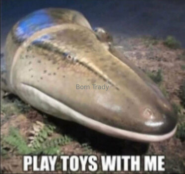 executionergf / executioner.gf Nude Leaks OnlyFans Photo 22