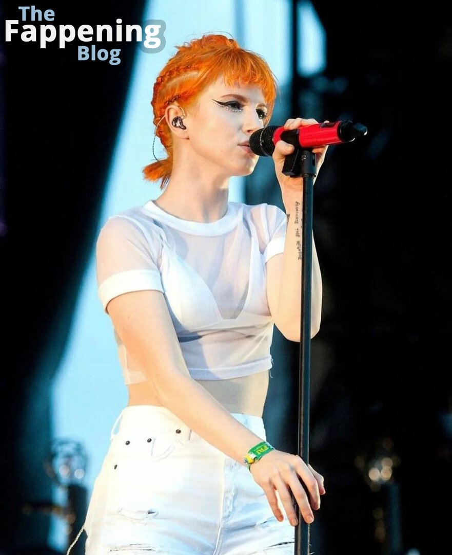 Hayley Williams / meepyfreepy / yelyahwilliams Nude Leaks OnlyFans Photo 66  | #TheFappening