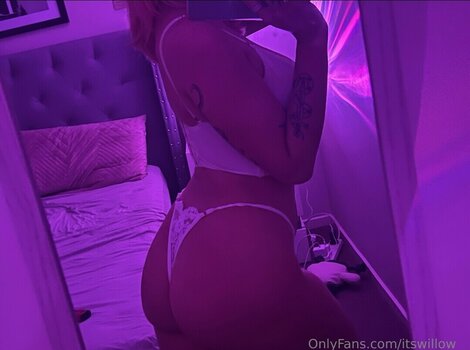itswillow__ Nude Leaks OnlyFans Photo 13