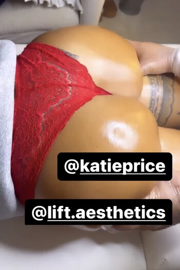 Katie Price / katieprice Nude Leaks OnlyFans Photo 7698