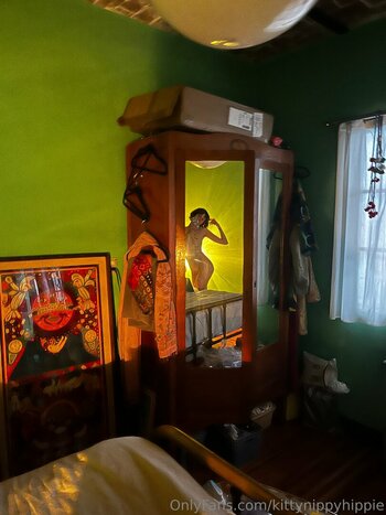 kittynippyhippie / littlenippyhippie Nude Leaks OnlyFans Photo 18