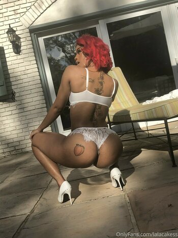 lalacakes / lalacakes__ Nude Leaks OnlyFans Photo 38