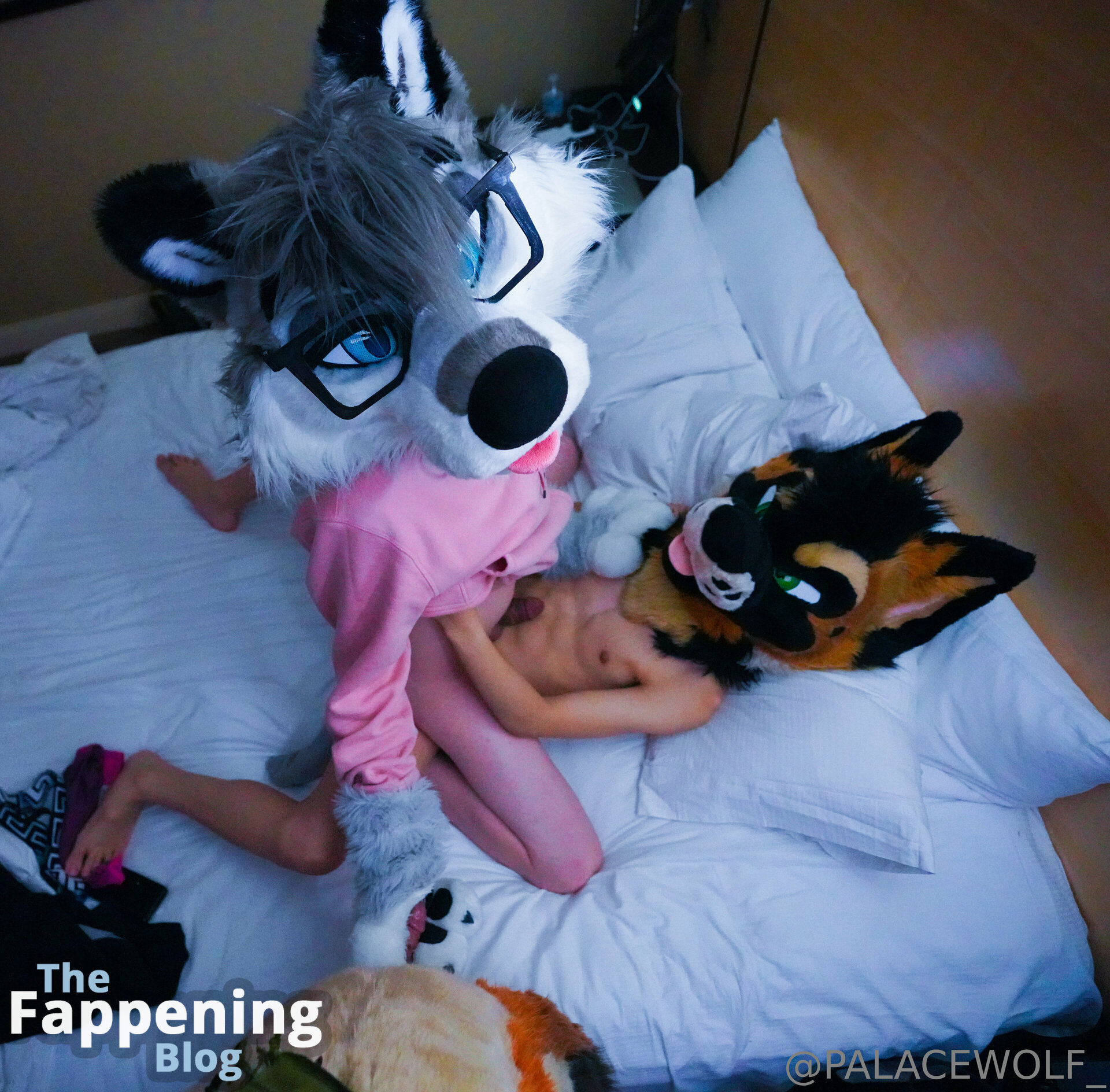 palacewolf Nude Leaks Photo 7 | TheFappening