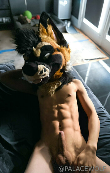 palacewolf Nude Leaks Photo 19