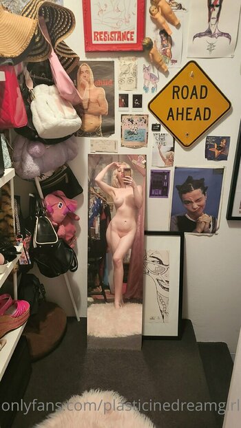 plasticinedreamgirl Nude Leaks Photo 3