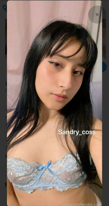 Sandry_coss Nude Leaks OnlyFans Photo 5