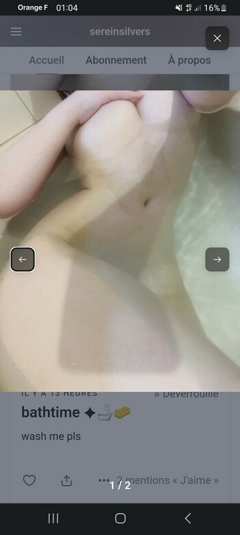 sereinsilvers Nude Leaks Photo 4