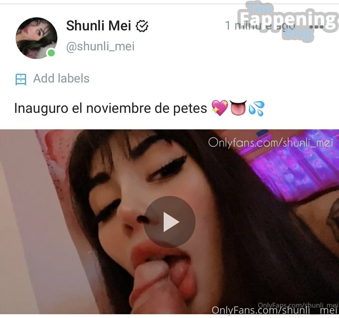 shunli__mei / meishunli / shunli_mei Nude Leaks OnlyFans Photo 7 |  #TheFappening