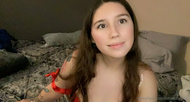 smolclingygf Nude Leaks OnlyFans Photo 14