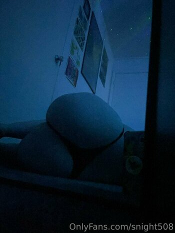 snight827 Nude Leaks Photo 22