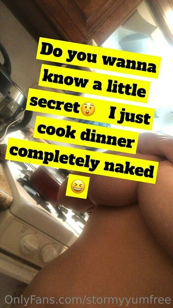 stormyyumfree Nude Leaks Photo 4