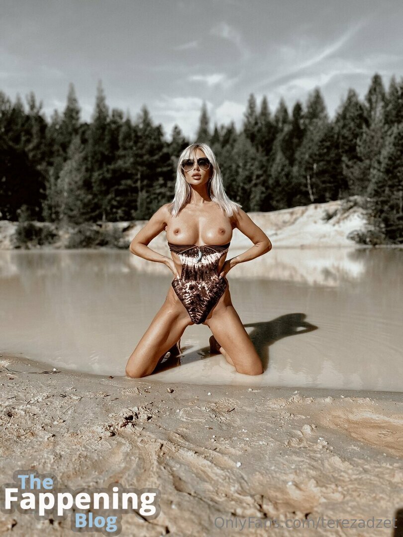 Tereza Dzet  terezadzet  terezalove Nude Leaks OnlyFans Photo 24 |  TheFappening