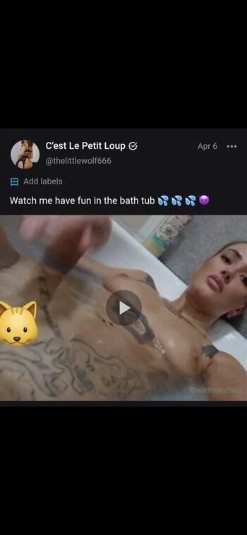thelittlewolf666 / jill666 / thelonelywolf666 Nude Leaks OnlyFans Photo 7