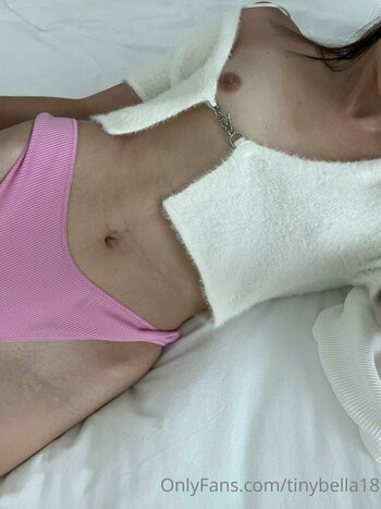 Tinybella18 / bellahadid Nude Leaks OnlyFans Photo 10