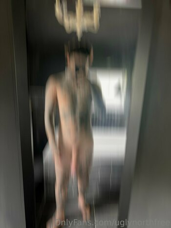 uglynorthfree Nude Leaks Photo 29