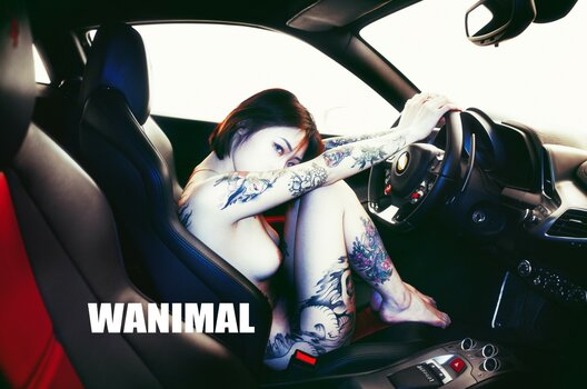 Wanimal Models / wanimal912 Nude Leaks Photo 12