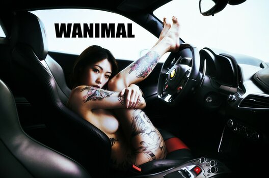 Wanimal Models / wanimal912 Nude Leaks Photo 14