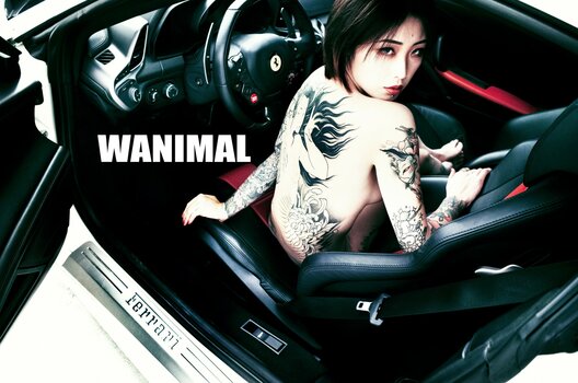 Wanimal Models / wanimal912 Nude Leaks Photo 37
