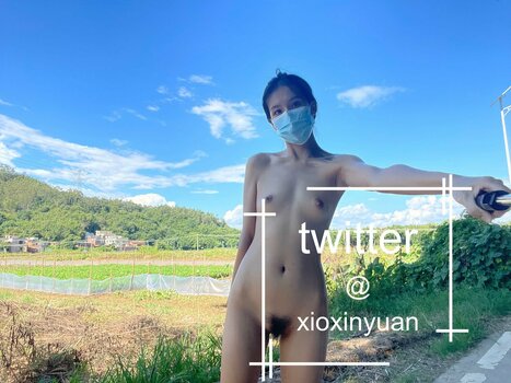 Xioxin Yuan / imfanzhixin / xioxinyuan Nude Leaks Photo 7