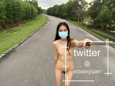 Xioxin Yuan / imfanzhixin / xioxinyuan Nude Leaks Photo 11