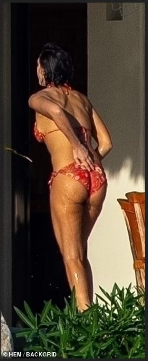 Jessica_Alba_New_Bikini_Pic_Part_2.jpg