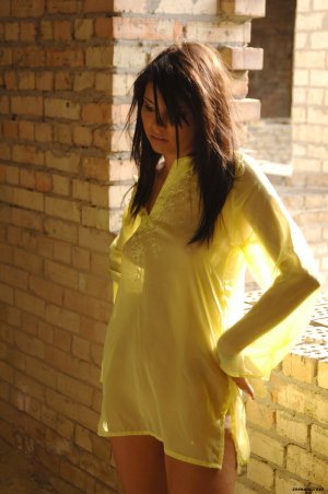 vanila-briques-09 thefappeningblog.com.jpg