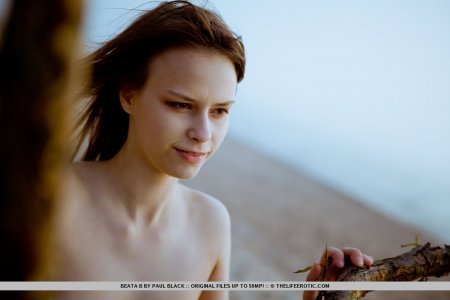 beata-b-remember-15 thefappeningblog.com.jpg