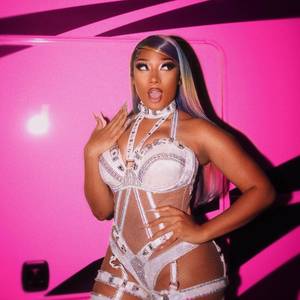megan-thee-stallion_thefappeningblog.com_0010.jpg