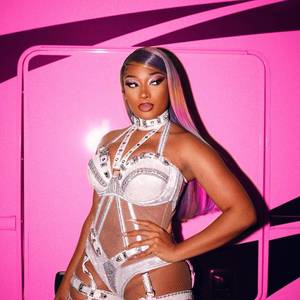 megan-thee-stallion_thefappeningblog.com_0019.jpg