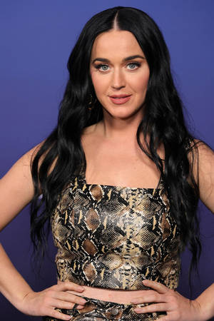 katy-perry_thefappeningblog.com_0006.jpg