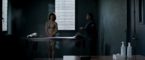 Sophie Marceau Nude thefappening.so 3.jpg