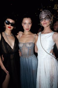 Bella Hadid See Through 3 thefappening.so.jpg
