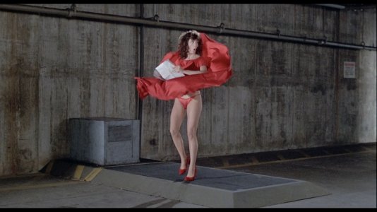 The Woman in Red (1984).mp4_snapshot_00.03.09.225.jpg