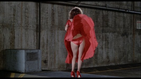 The Woman in Red (1984).mp4_snapshot_00.03.38.378.jpg