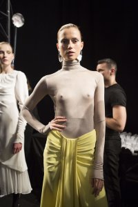 Cato Van Ee See Through 3 thefappening.so.jpg