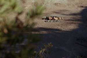 Nicole Naude Topless & Sexy 11 thefappening.so.jpg