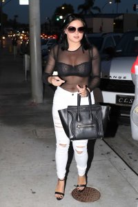 Ariel Winter See Through 13 thefappening.so.jpg