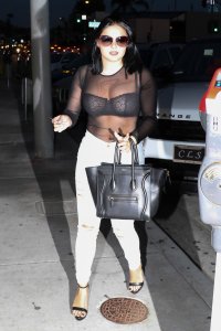 Ariel Winter See Through 20 thefappening.so.jpg
