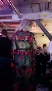 Elsa Hosk See Through Ass 3.jpg