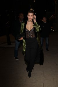 Sofia Richie See Through 2 thefappening.so.jpg